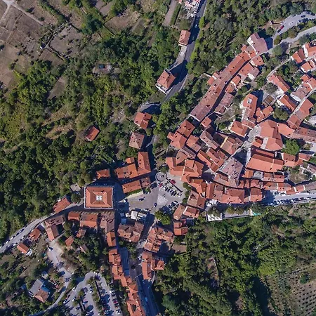 Cr Nedeščina